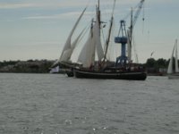 Hanse sail 2010.SANY3800